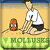 Mollusks - BrainPOP