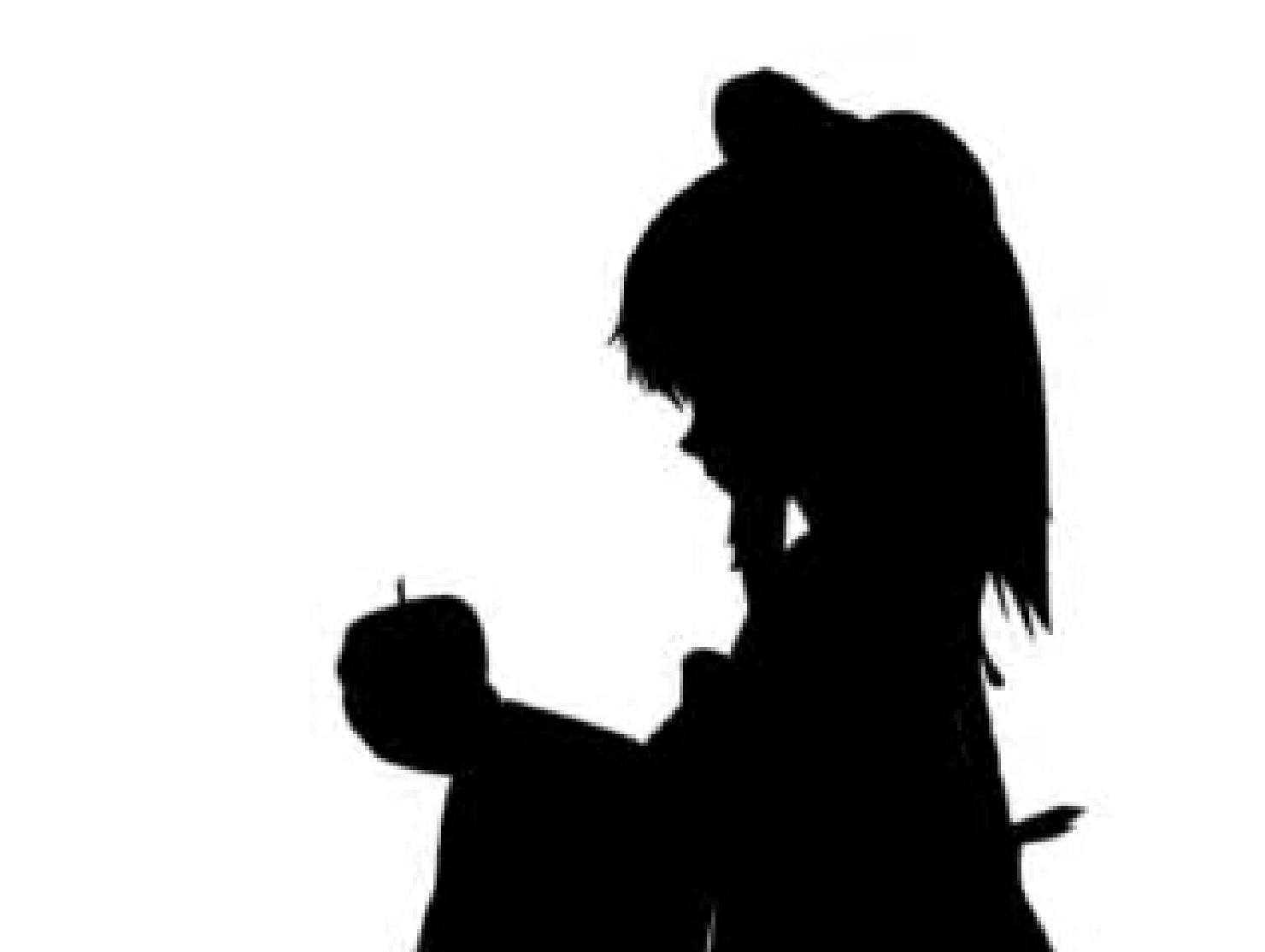 Touhou - Bad Apple!! (Flash Video)