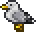 Terraria Seagull